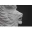 White Marble Lion Bust