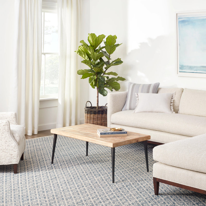 Melange Diamond Blue Handwoven Cotton Rug, Rectangle 2' x 3'