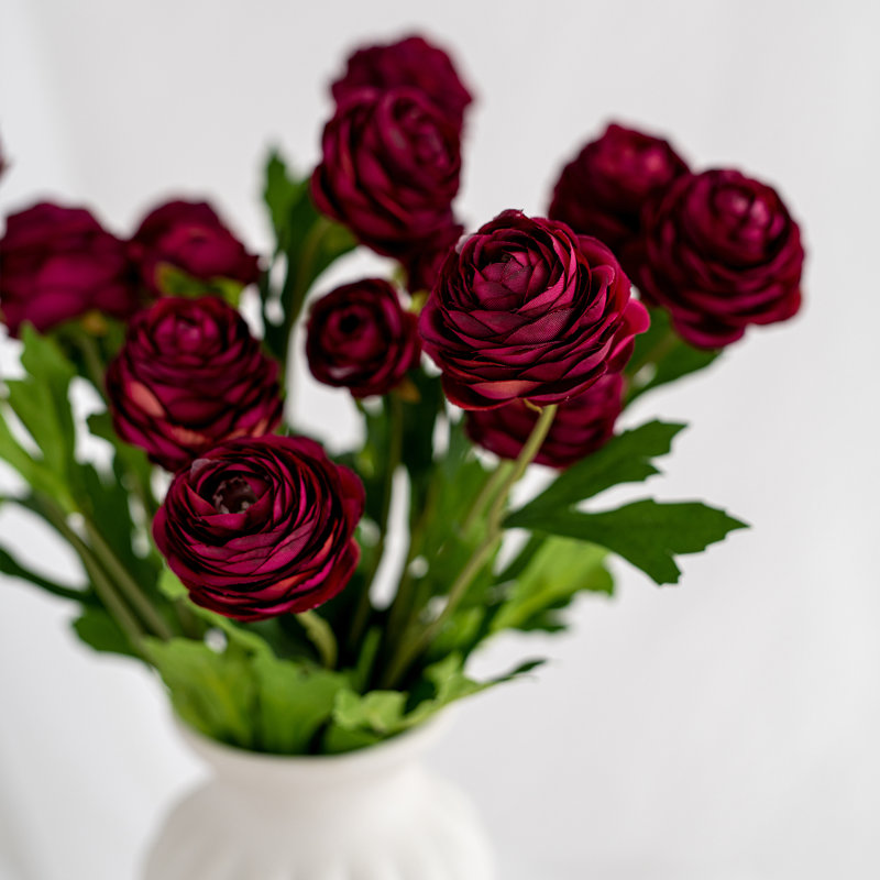 Ensemble de 6 fleurs de bouton d'or Audet, Rouge