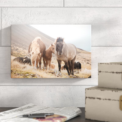 Horses of Hofn I 1 Piece Wrapped Canvas Wall Art