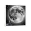 Moonstruck 1 Piece Floater Frame Wall Art on Canvas-1104257804-1104257805