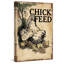 Impression sur toile tendue poulets chick feed-16158874