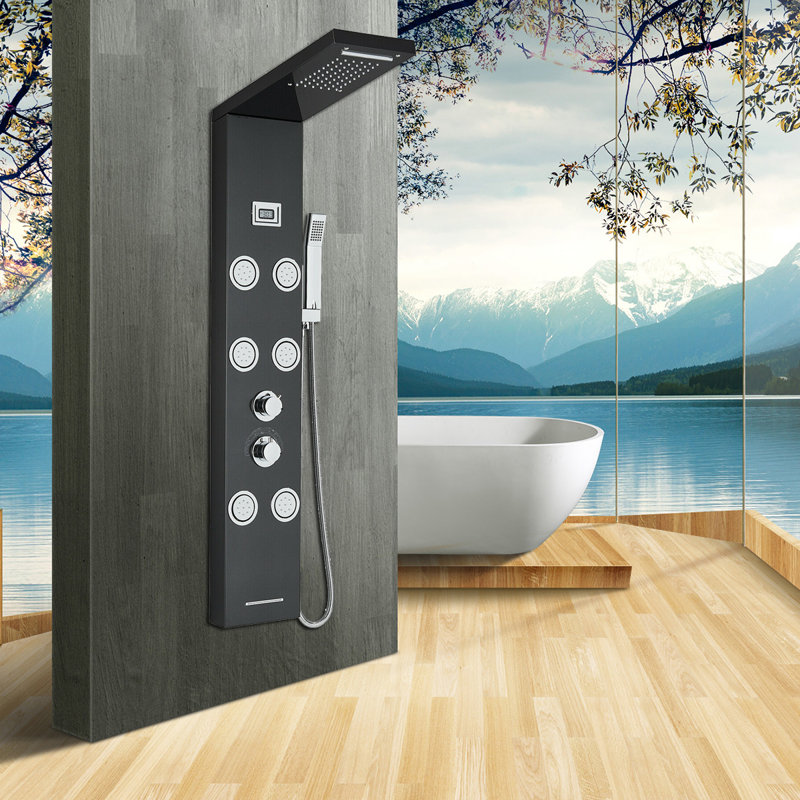 Panneau de douche 48 po avec pomme de douche double, Noir mat