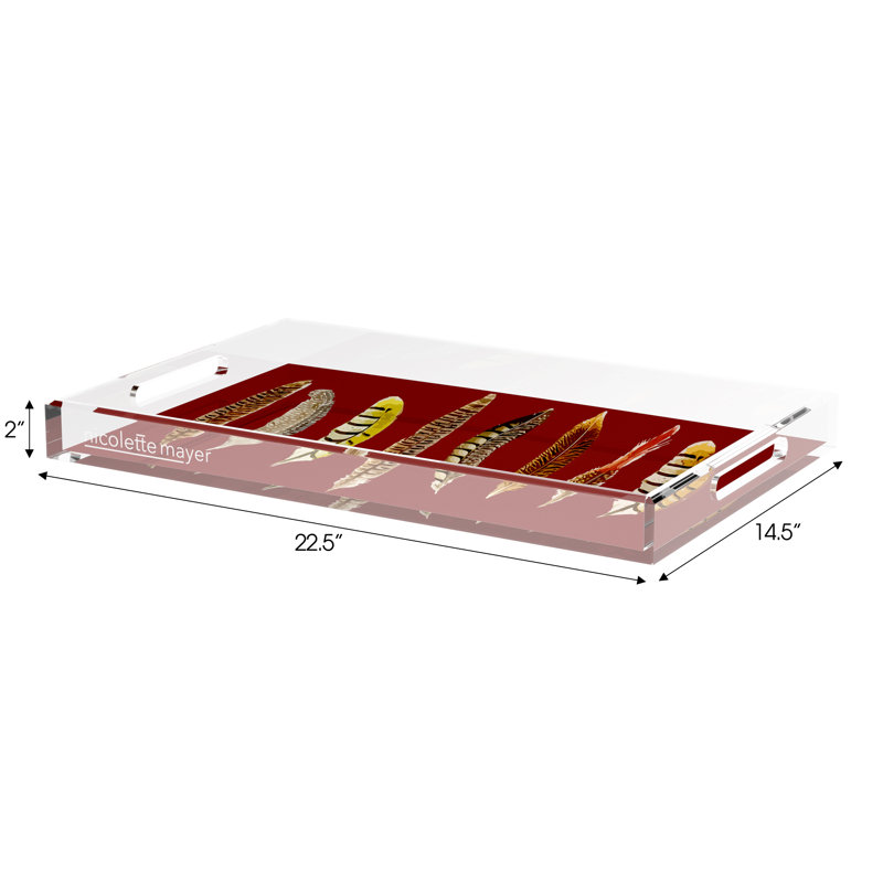 Pheasant Feathers Acrylic Rectangle Decorative Tray, Porto, 22.5"W x 14.5"D x 2"H
