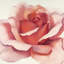 « magnificence iv », impression sur toile-29483288-73576140-73576145