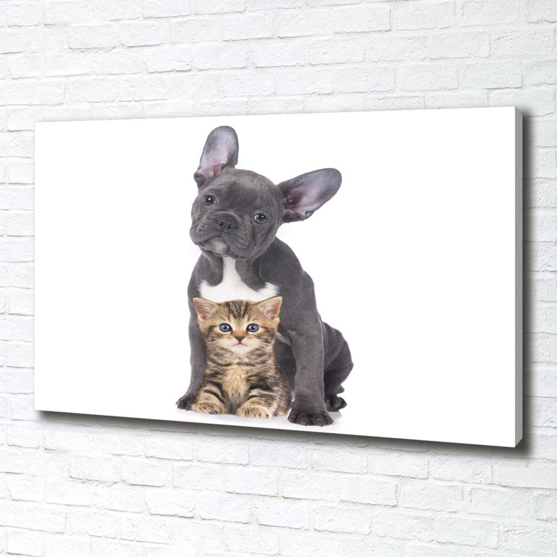 Dog And Cat - Wrapped Canvas Print