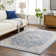 Oriental Indoor Rug