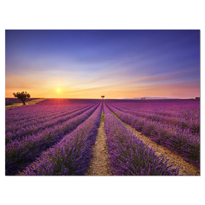 Champ de lavande en Provence, reproduction de photo sur toile tendue