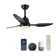 42" Smart Ceiling Fan With Lights Remote