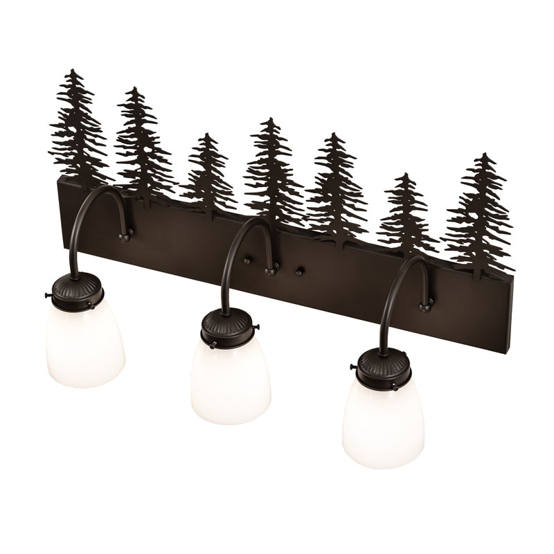 Vanity Light, Oil Rubbed Bronze, 13" H x 24" W x 8" D