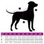 Pet Carrier-184380499-184380498