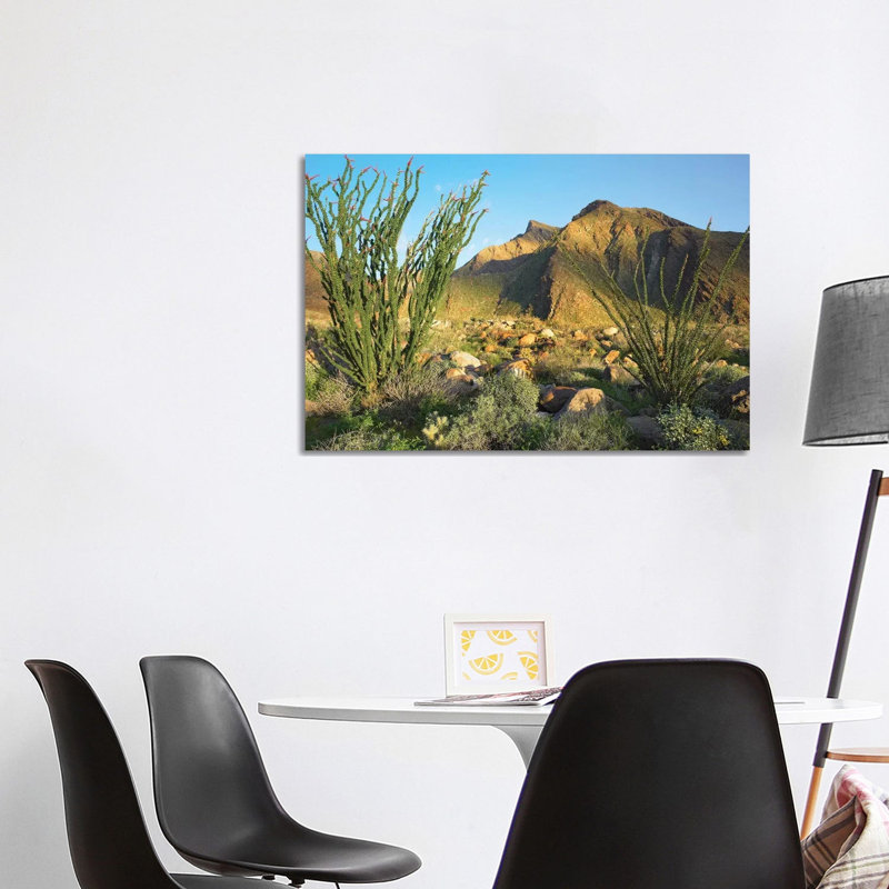 Ocotillo, Borrego Palm Canyon, Anza-Borrego Desert State Park, California by Tim Fitzharris - Wrapped Canvas Print
