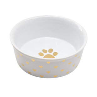 Pet Bowl