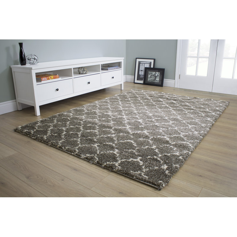 Tapis gris anthracite Lapeer, Rectangle 5 pi 3 po x 7 pi 7 po