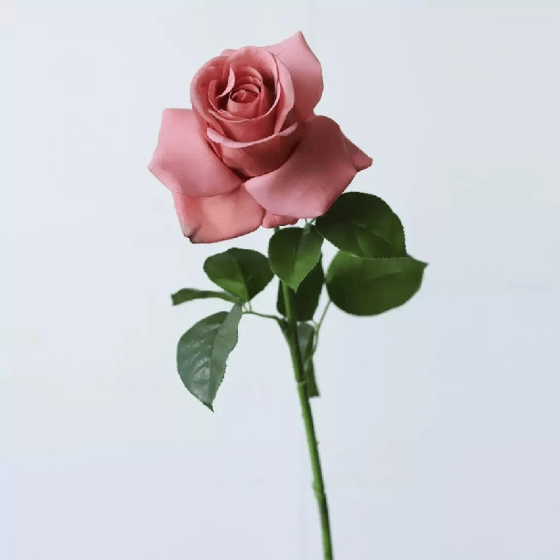 Tige rose rosé - 25,5 po, [B] 3 tiges