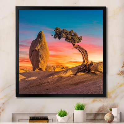 " Solitude Tree On Arkansas Desert "