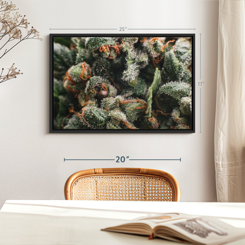 Reproduction sur toile de trichomes glandulaires, H 17 po x l 25 po