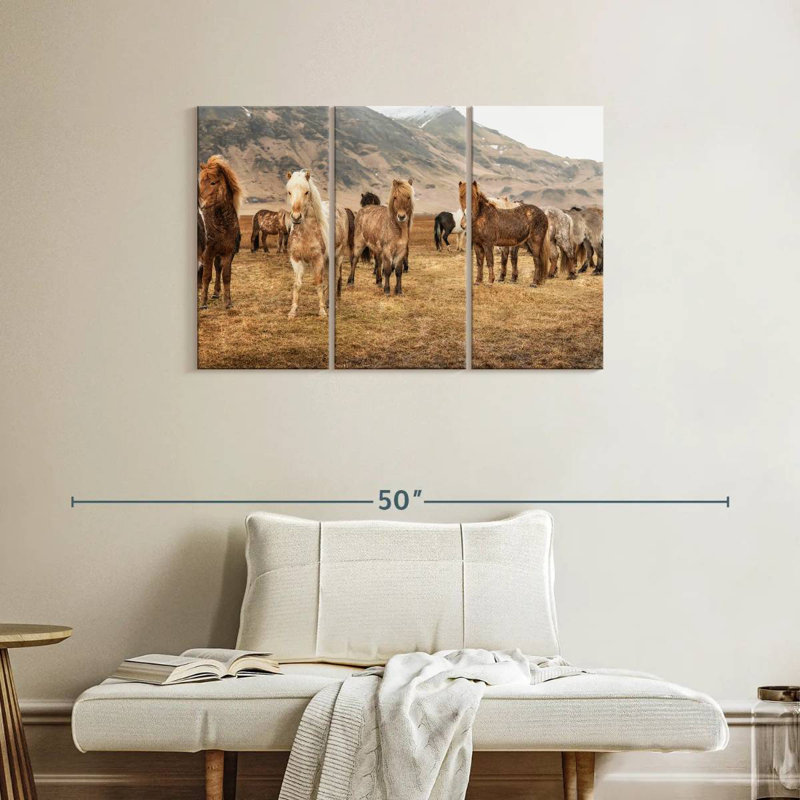 Brampt, chevaux islandais dans la campagne, H 24 po x l 38 po