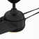 Annasophia 60'' Ceiling Fan with LED Lights