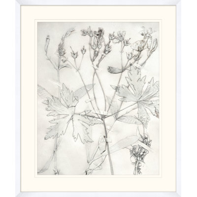 Painted Pressed Floral 2 Print