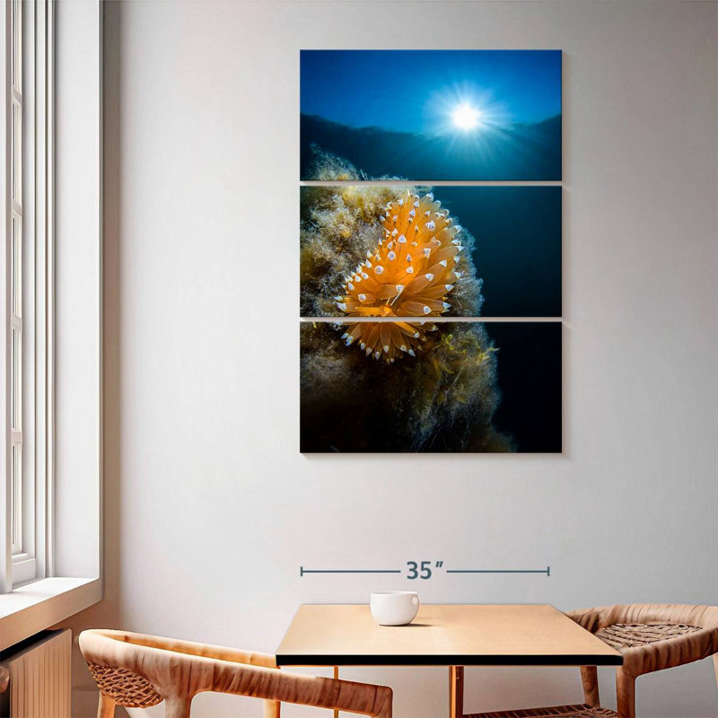 Brampt Crested Aeolis, 65" H x 42" W