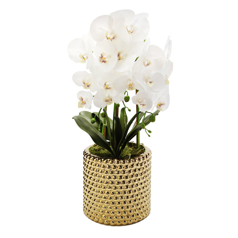 Centre de table orchidée dans un vase