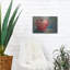 Art mural luxueux «Red Apple Crop» par Jeanette Vertentes-1444135794