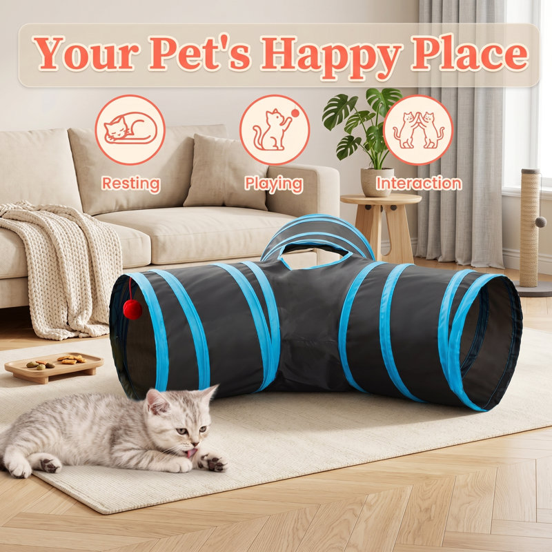 Enceinte portative 5-en-1 pour chat, comprenant tente, cube, Catio pliable, aire de jeu escamotable, avec tunnels, pour chats d'intérieur et petits animaux