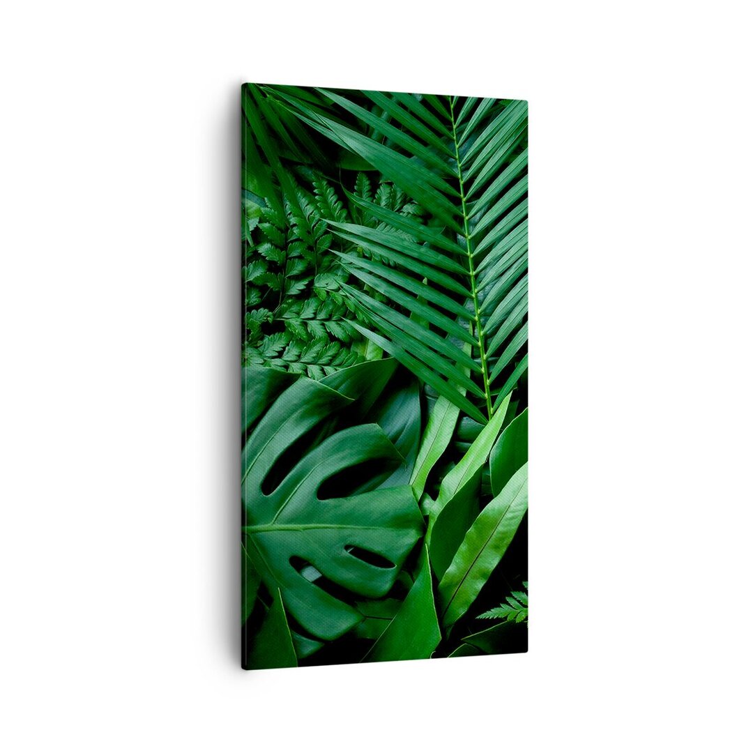 Leinwandbild Exotische Blätter Monstera