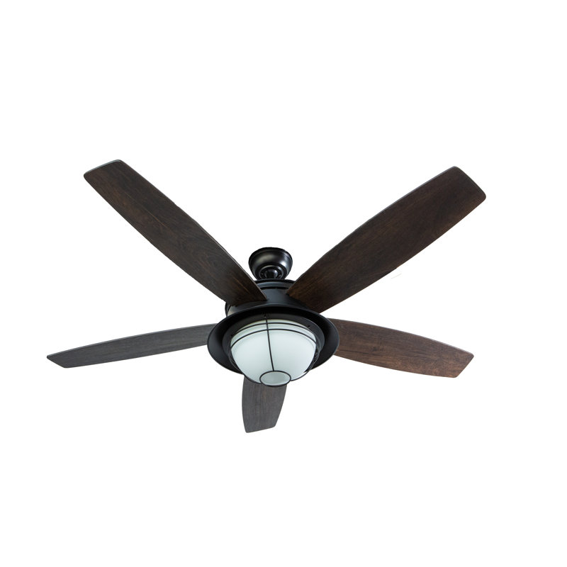 Braylin 52 inch Indoor/Outdoor Matte Black Ceiling Fan with LED Light Kit and Remote Control