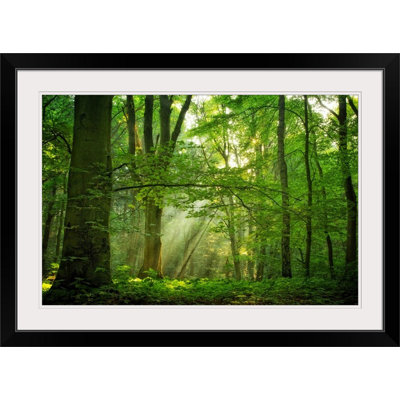 Anjelique " Breathe " by Lars Van De Goor