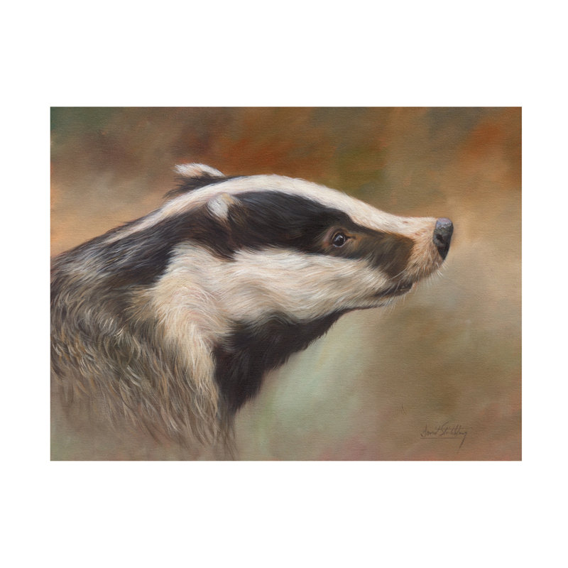 Art sur toile David Stribble Badger Study, H 14 po x l 19 po