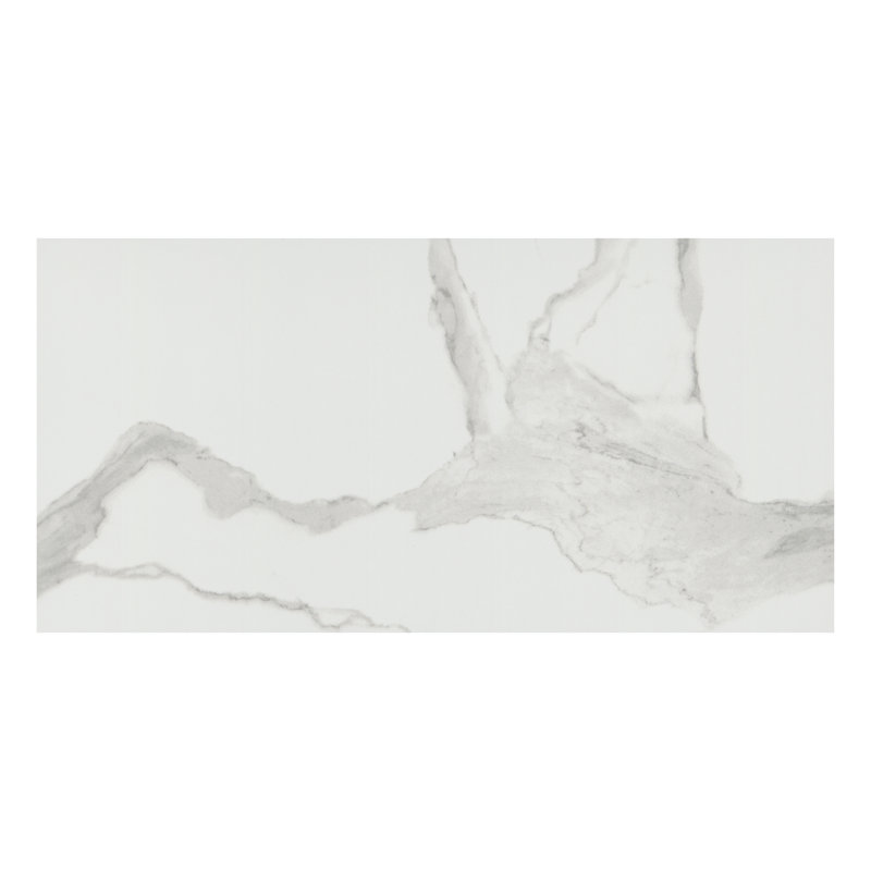 Ardena 12 in. x 24 in. Matte Porcelain Stone Look Floor and Wall Tile, Silva
