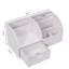 Aavyn Desk Organiser-507825565