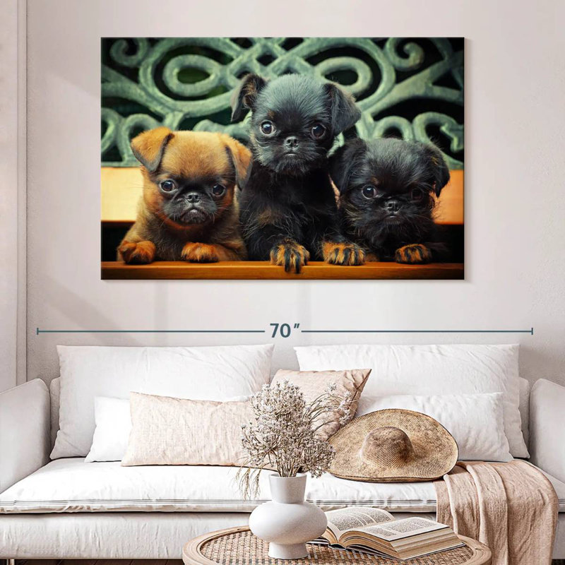Griffon Puppies, 34" H x 51" W
