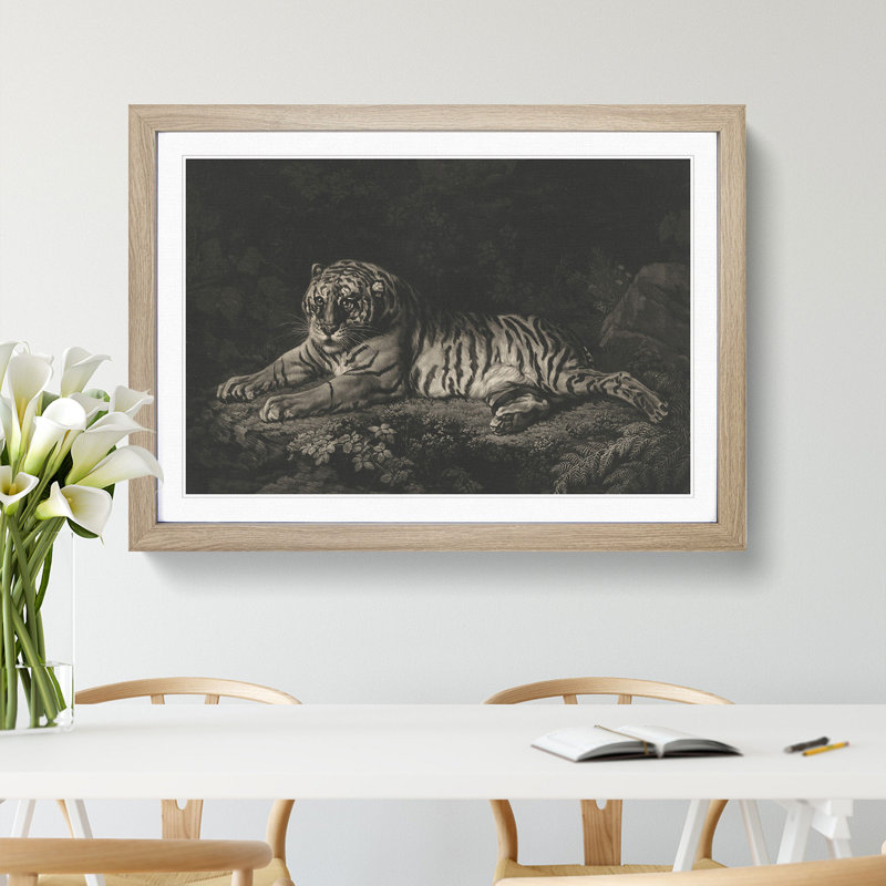 A Tiger by George Stubbs - Picture Frame Painting, 27cm H x 36cm W x 2cm D, Oak Framed