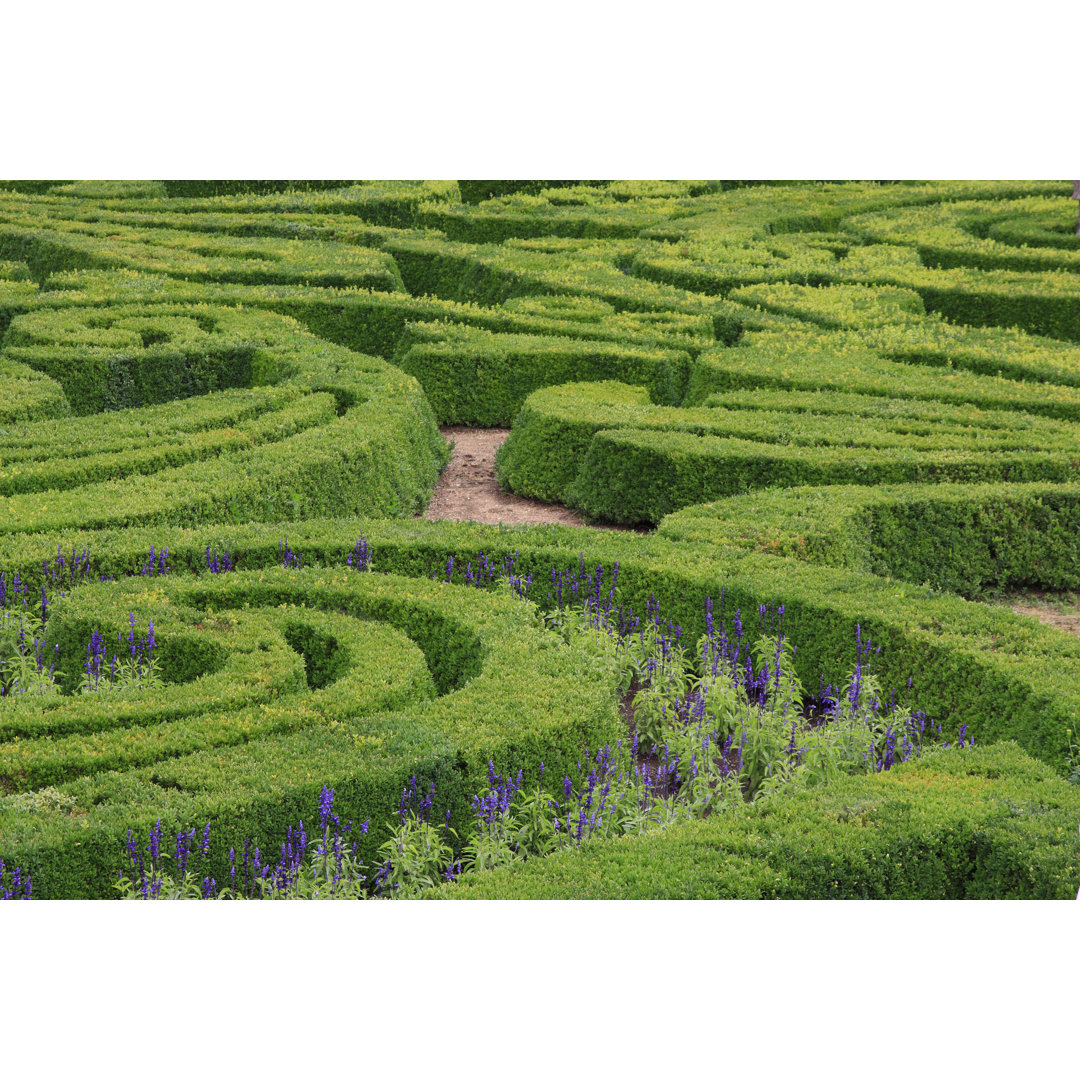 Leinwandbild Green Maze