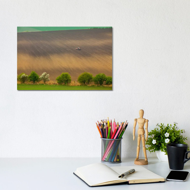 Czech Republic, Moravia, Rapeseed Field I by Mikolaj Gospodarek - Wrapped Canvas Print, 20.32 cm H x 30.48 cm W
