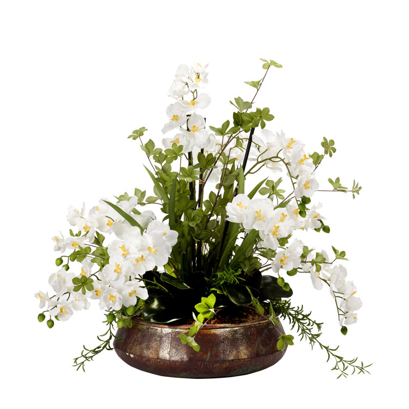 Orchid Arrangement in Planter