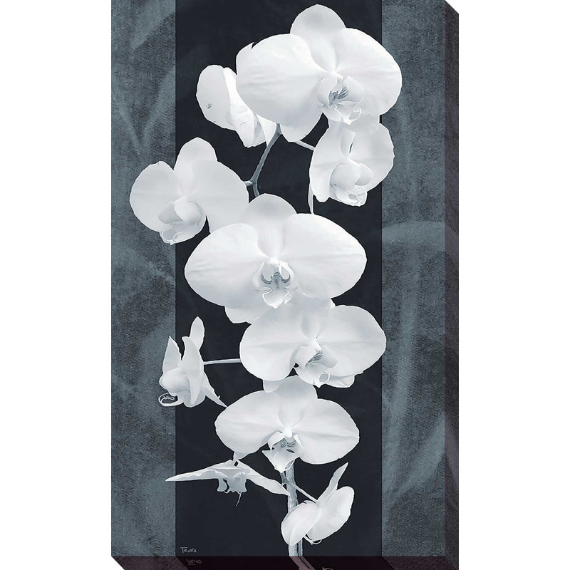 Orchidée opulence II par Katrina Craven - impression, Toile tendue, H 30 po x l 18 po x P 1 po
