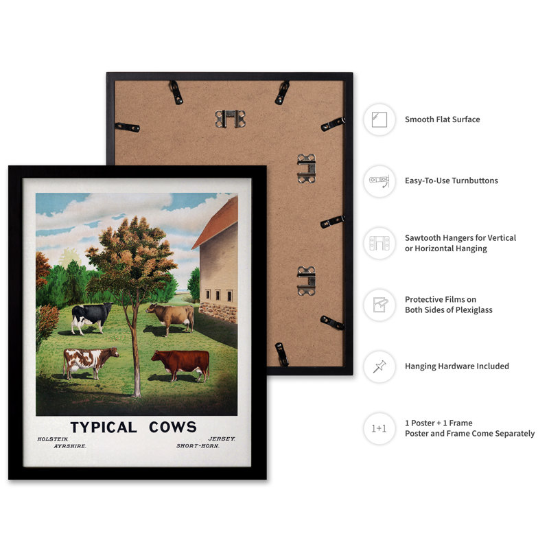 Vaches typiques, H 12 po x l 16 po, Affiche, Cadre noir