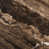 Walnut Marble is out of stock