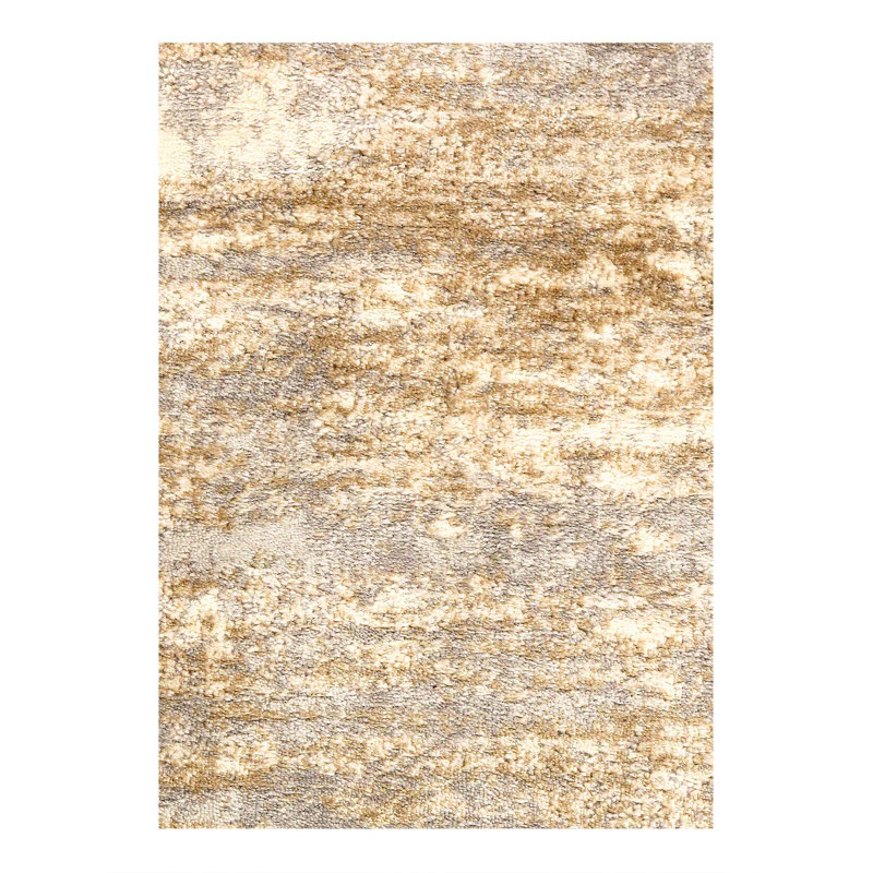 Tapis moderne à tissage large 2 pi x 3 pi