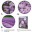 Vaste paysage de lilas en fleurs mauves sur toile-431420815-431420818