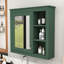 Elegant Wall-Mounted Mirror Medicine Cabinet with Shelves-1276389183
