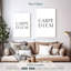 Carpe Diem - Seize The Day-44131235