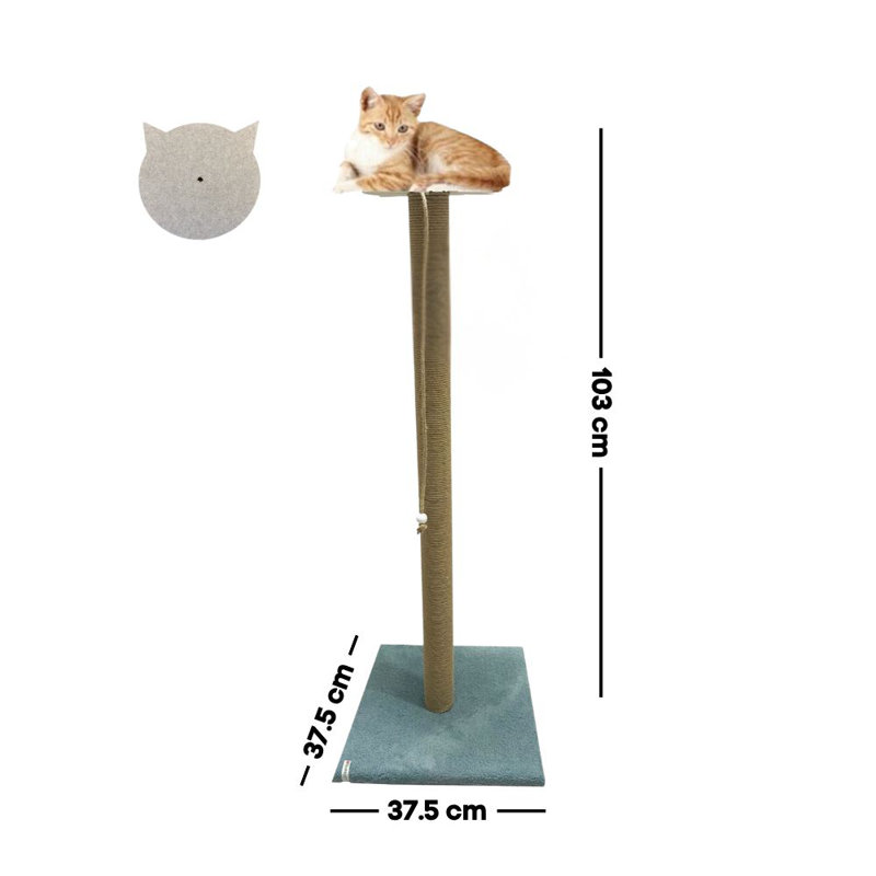 Grattoir pour chat, Turquoise