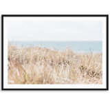 Sea Ranch Wild Grass Print by Carly Tabak