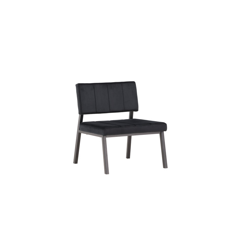 Alyn Velvet Side Chair