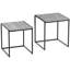 Sylvie 2 Piece Nest of Tables Industrial Living Room Side Tables With Metal Legs-252343489